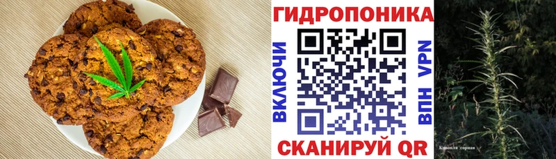 даркнет наркотические препараты  Куртамыш  Cannafood марихуана 